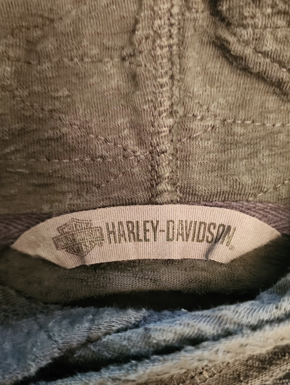Harley-Davidson Hoodie with Front Logo - Picture 8 of 16